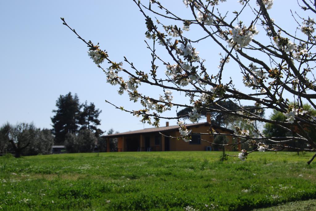 בראצ'יאנו Casa Vacanze Vigna Di Valle חדר תמונה