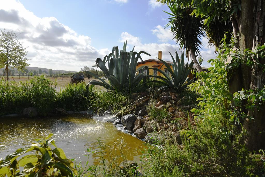 בראצ'יאנו Casa Vacanze Vigna Di Valle מראה חיצוני תמונה
